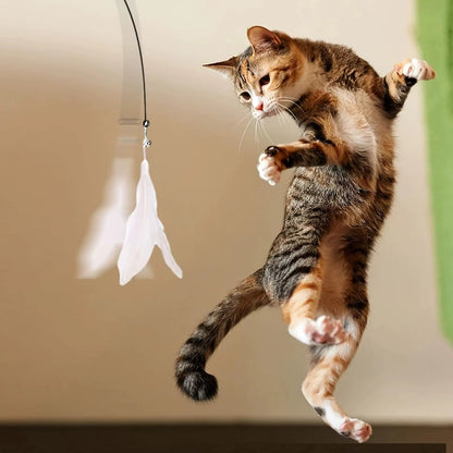 Cat Teaser Stick With Bell